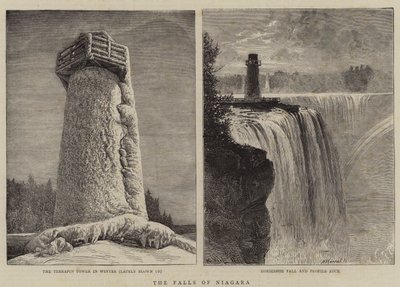Niagarské vodopády od William Henry James Boot