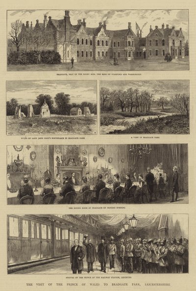 Návštěva prince z Walesu v parku Bradgate v hrabství Leicestershire od William Henry James Boot
