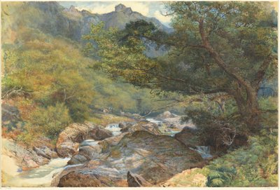 Na East Lyn, Severní Devon od William Henry Millais