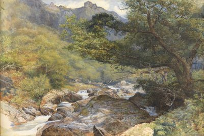 On the Lyn, North Devon (Wc zvýšené o tělovou barvu a arabskou gumu) od William Henry Millais
