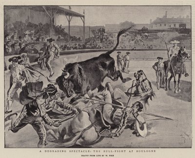 Ponižující podívaná, boj s býky v Boulogne od William Henry Pike