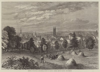 Setkání Královské zemědělské společnosti v Tauntonu, Obecný pohled na Taunton, z Belmontu od William Henry Pike