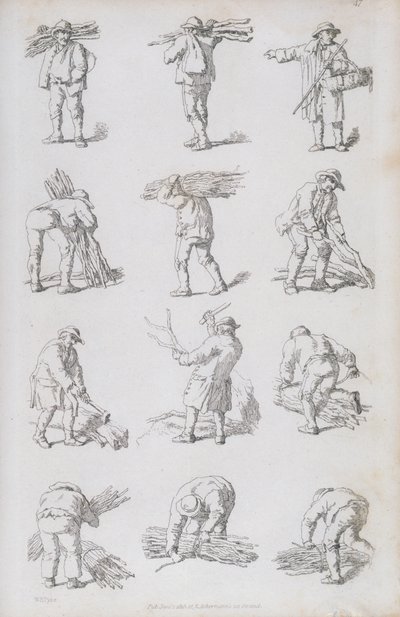 Ilustrace z 
