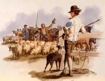 Smithfield Drover, z 