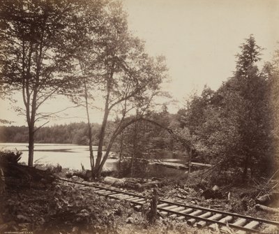 Beechwood Lake,c. 1895 (foto) od William Herman Rau