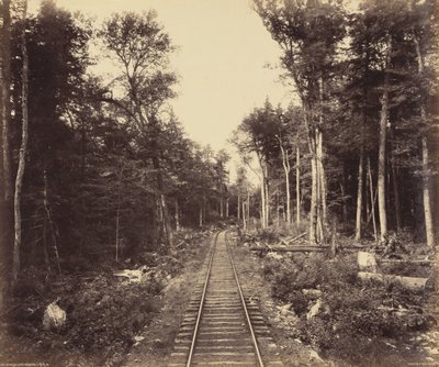 Odbočka Ganoga Lake Branch, asi 1895 (foto) od William Herman Rau