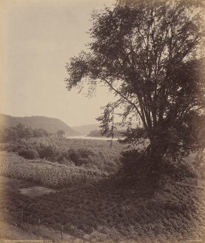 Malebná Susquehanna, poblíž Laceyville, asi 1895 (foto) od William Herman Rau