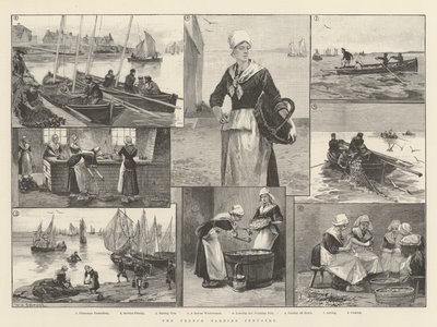 Francouzský sardinkový průmysl od William Heysham Overend