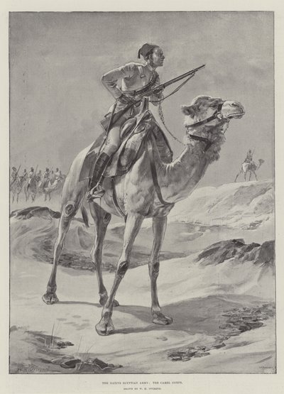 Domorodá egyptská armáda, Velbloudí sbor od William Heysham Overend