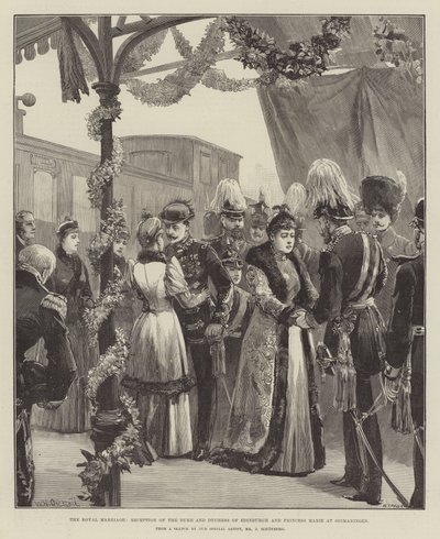 Královský sňatek, přijetí vévody a vévodkyně z Edinburghu a princezny Marie v Sigmaringenu od William Heysham Overend