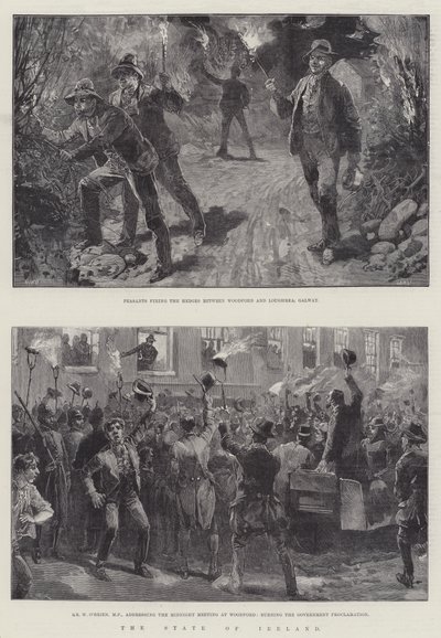 Stát Irsko od William Heysham Overend