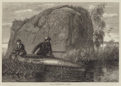 Wild Duck Shooting, West of Ireland gravírování od William Heysham Overend