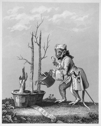 Ocas, kus do katalogu umělců, 1761 od William Hogarth