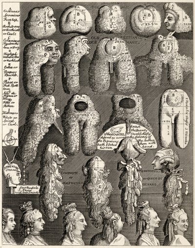 The Five Orders of Perriwigs, z 