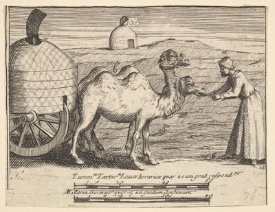 Dva dromedáři Aubry de La Mottrayes cestuje po Evropě, Asii a do části ..., 1723-24. od William Hogarth
