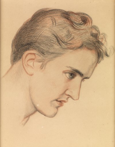 Eugenie Sellers, Studie pro 