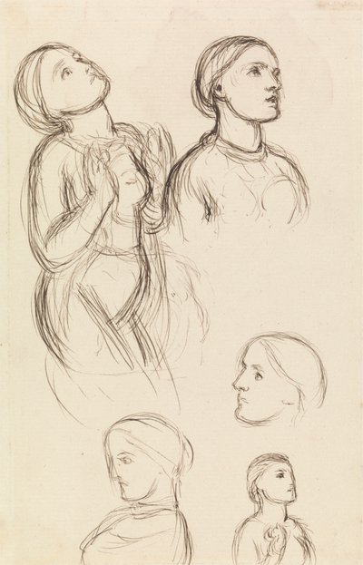 Studie Edith Holman Hunt od William Holman Hunt