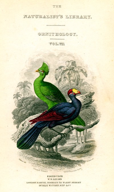 The Naturalists Library, Ornitology, Senegal Touraco, Violet Jitrocel Eater, c1833-1865. od William Home Lizars