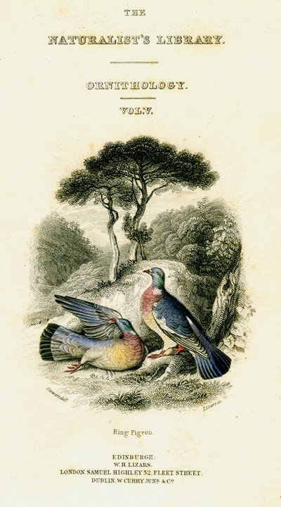 The Naturalists Library, Ornitology Vol V, Ring Pigeon, c1833-1865. od William Home Lizars