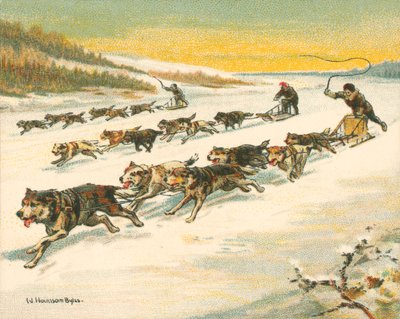 Historické a moderní závody, kanadské závody psích spřežení (chromolitho) od William Hounsom Byles
