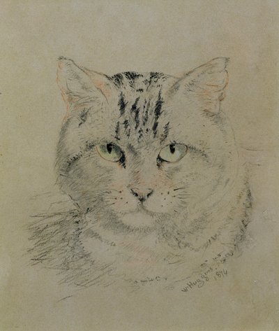 Tabby Cat, 1874 (tužka, pastelka a uhel na papíře) od William Huggins