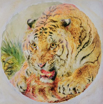Tygří hlava od William Huggins