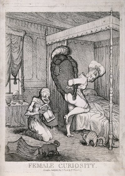 Ženská zvědavost od William Humphrey