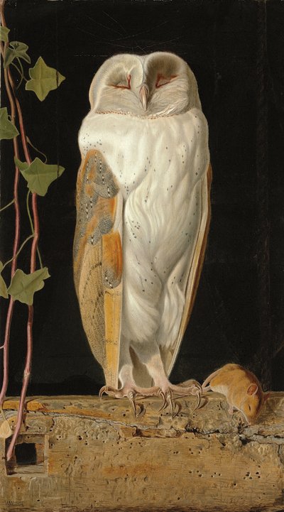 Bílá sova: „Bílá sova ve zvonici sedí sama a zahřívá svých pět rozumů“, 1856 od William J. Webbe