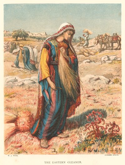 The Eastern Gleaner (kolorovaná rytina) od William J. Webbe or Webb