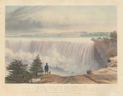 Niagarské vodopády ze Stolové skály od William James Bennett