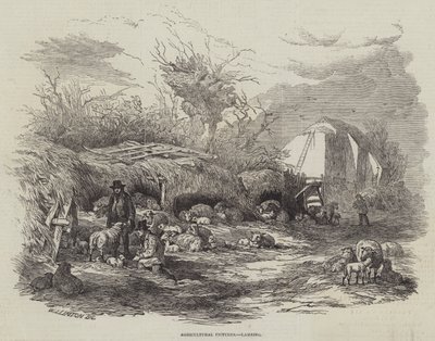 Zemědělské obrázky, Jehňata od William James Linton