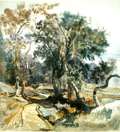 Lesní stezka (tužka a akvarel na papíře) od William James Muller