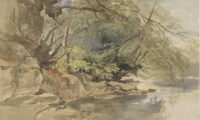 Tvář v Stapleton Wood poblíž Bristolu od William James Muller