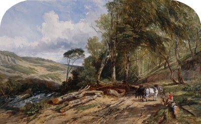 Odvoz dřeva (olej na plátně) od William James Muller