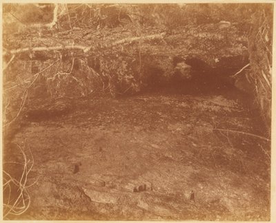 Bez názvu, z portfolia The Forest: Adirondacký les od William James Stillman