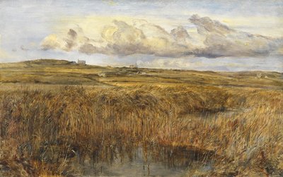 Rhoscolyn, Anglesey od William Joseph J.C. Bond