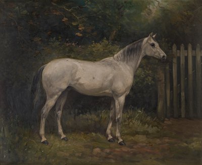 Pickles: pony Basuto, kolem roku 1904 (olej na plátně) od William Josiah Redworth