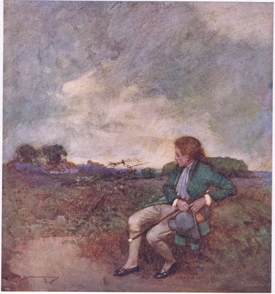 Tady, když podnikám své osamělé obchůzky, uprostřed tvých spletitých procházek a zničených pozemků (barva litho) od William Lee Hankey