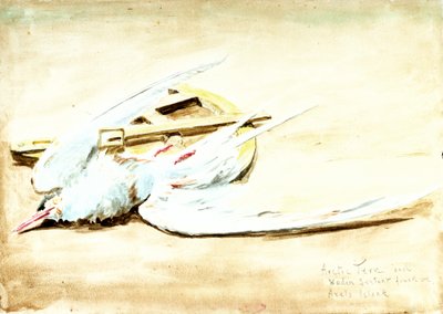 Rybák polární a dřevěný sextant nalezený na Axelově ostrově na Špicberkách, 20. století (akvarel) od William Lionel Wyllie