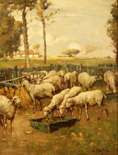 The Sheep Fold od William McBride