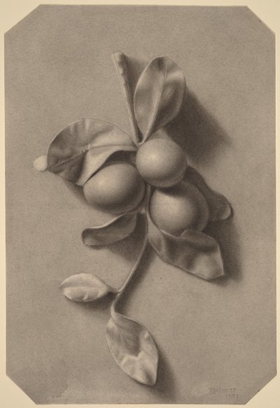  od William Michael Harnett