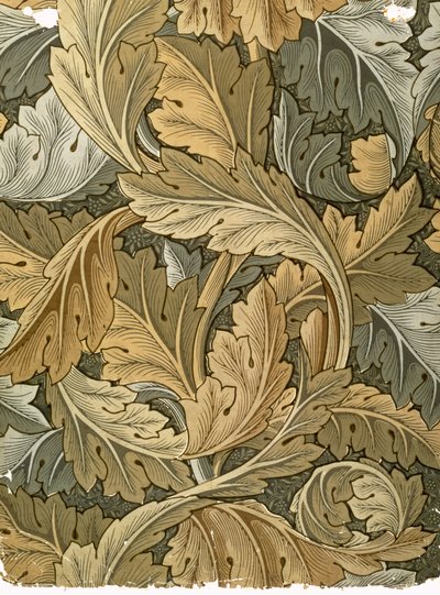 Tapeta Acanthus, navržená Williamem Morrisem (1834-96), 1875 od William Morris