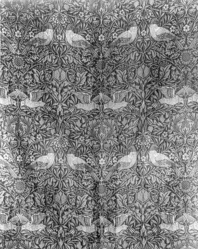 Návrh "Bird" od Williama Morrise (1834-96) (tkaná vlna) (čb tisk) (barevný obrázek viz 136483) od William Morris