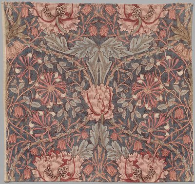 Zimolez, počátek 20. století. od William Morris
