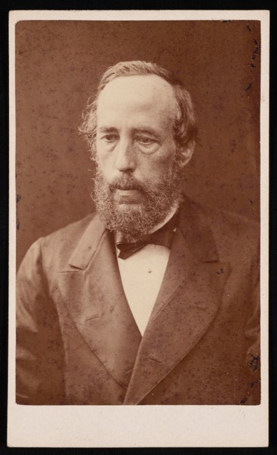 Portrét Jamese Crolla 1821-1890, před rokem 1876. od William Neilson