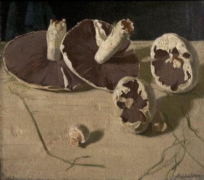 Houby od William Nicholson