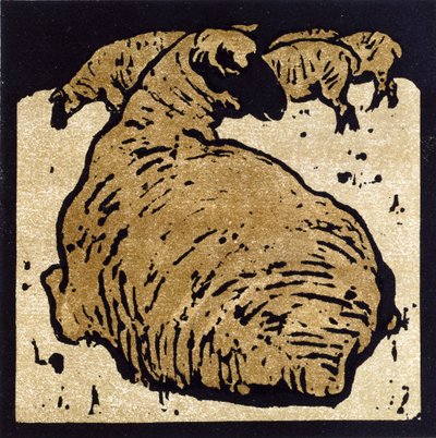The Simple Sheep, ilustrace z 