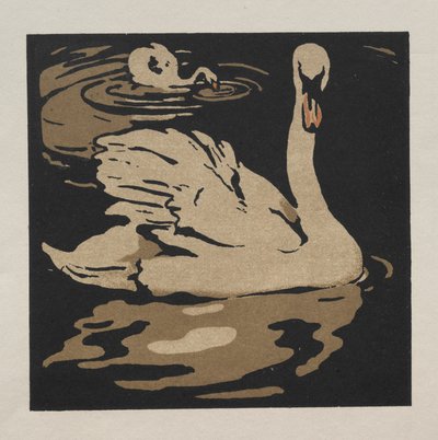 Čtvercová kniha zvířat: Krásná labuť od William Nicholson