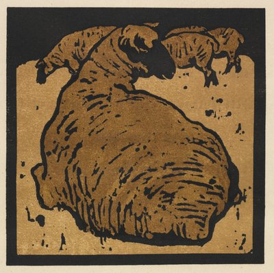 Čtvercová kniha zvířat: Jednoduchá ovce od William Nicholson