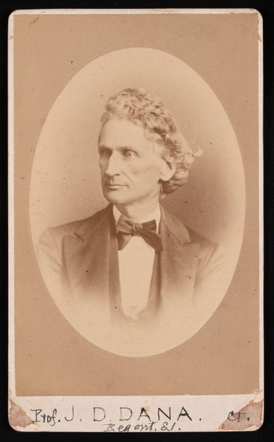 Portrét Jamese Dwighta Dana 1813-1895, před rokem 1891. od William Notman